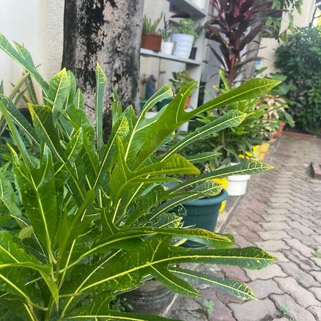 L&J Modern Backpackers Kinondoni Bed and Breakfast Dar es Salaam Eksteriør billede