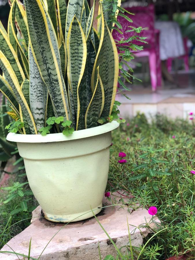 L&J Modern Backpackers Kinondoni Bed and Breakfast Dar es Salaam Eksteriør billede