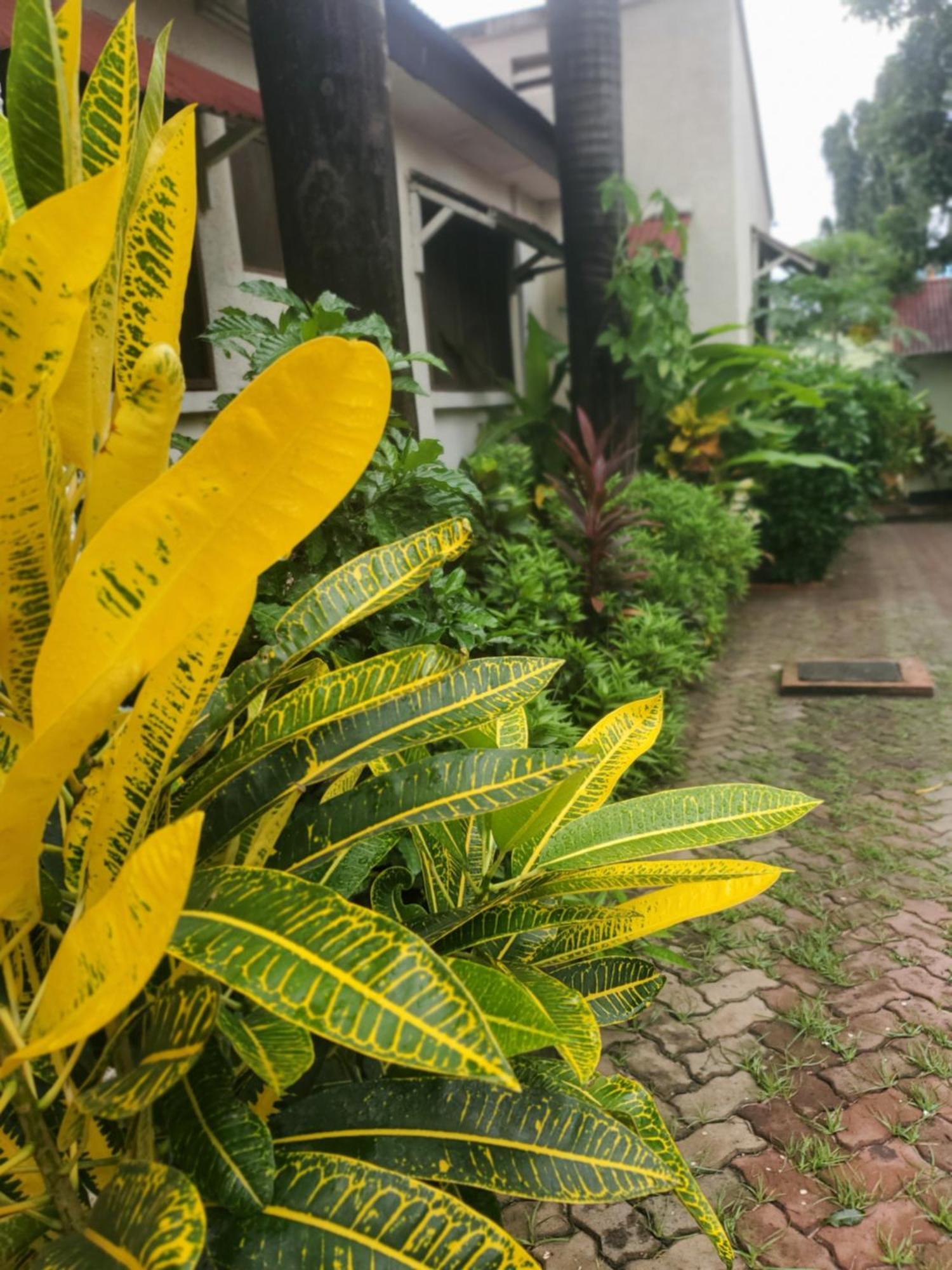 L&J Modern Backpackers Kinondoni Bed and Breakfast Dar es Salaam Eksteriør billede